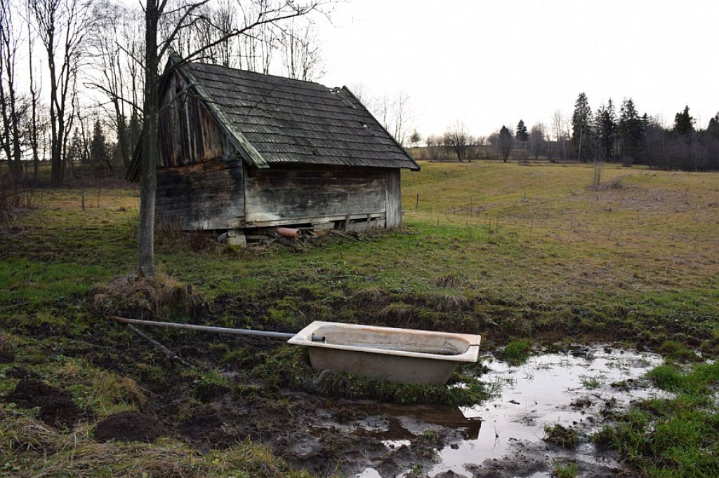 Ostatnie ciepłe grudniowe widoki