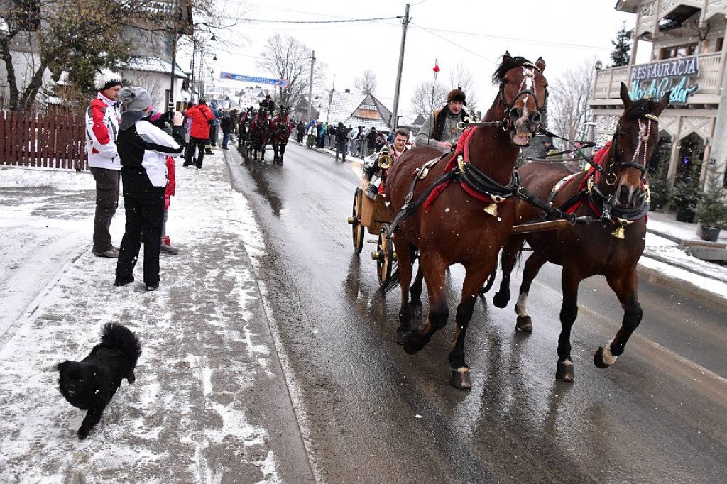 44. Karnawał Góralski w Bukowinie Tatrzańskiej