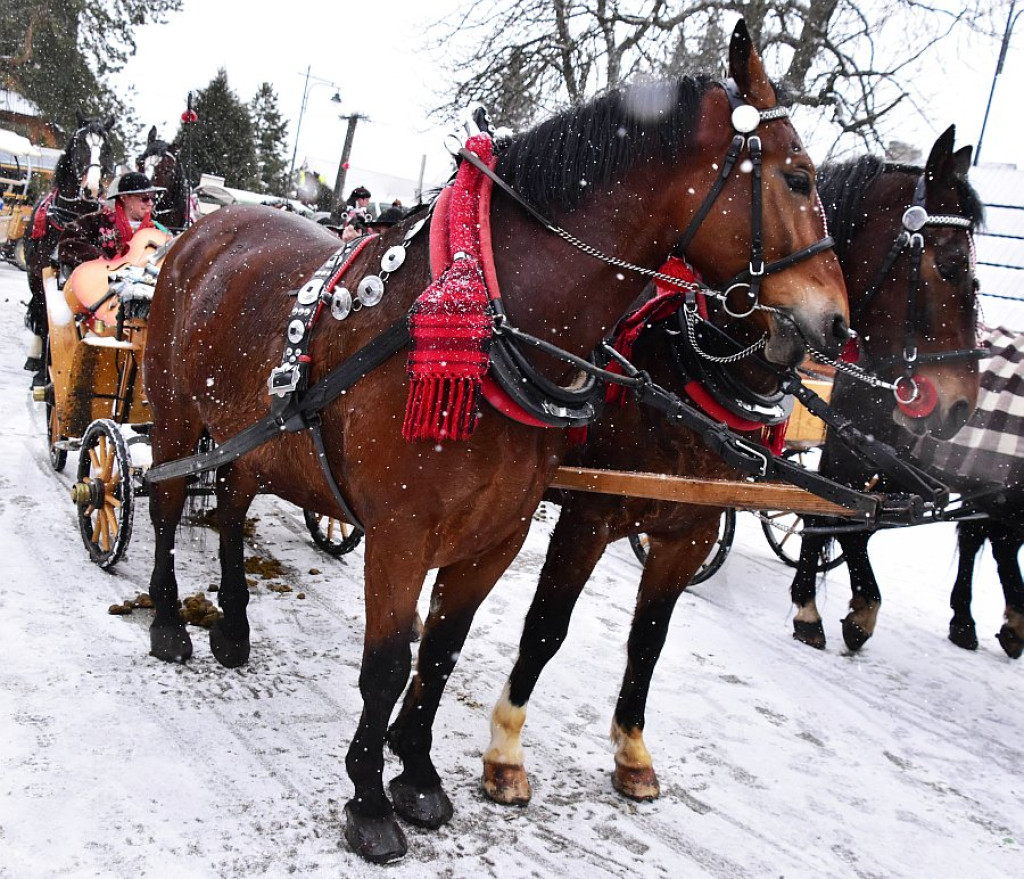 44. Karnawał Góralski w Bukowinie Tatrzańskiej