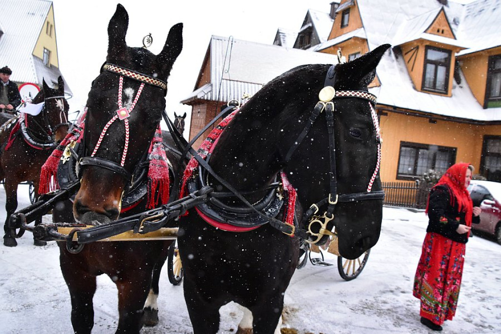 44. Karnawał Góralski w Bukowinie Tatrzańskiej