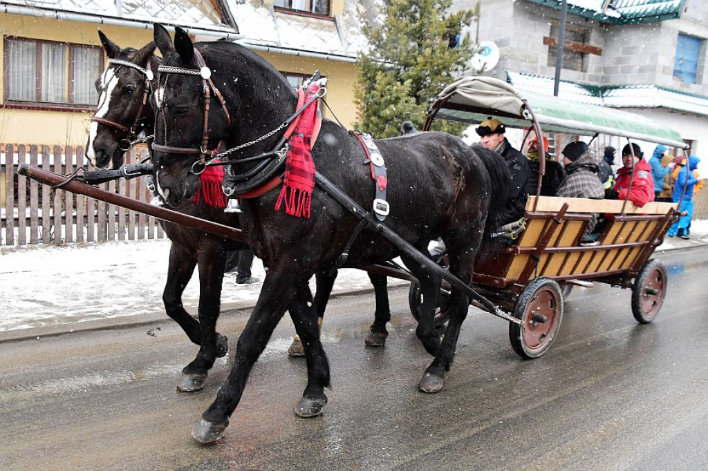 44. Karnawał Góralski w Bukowinie Tatrzańskiej