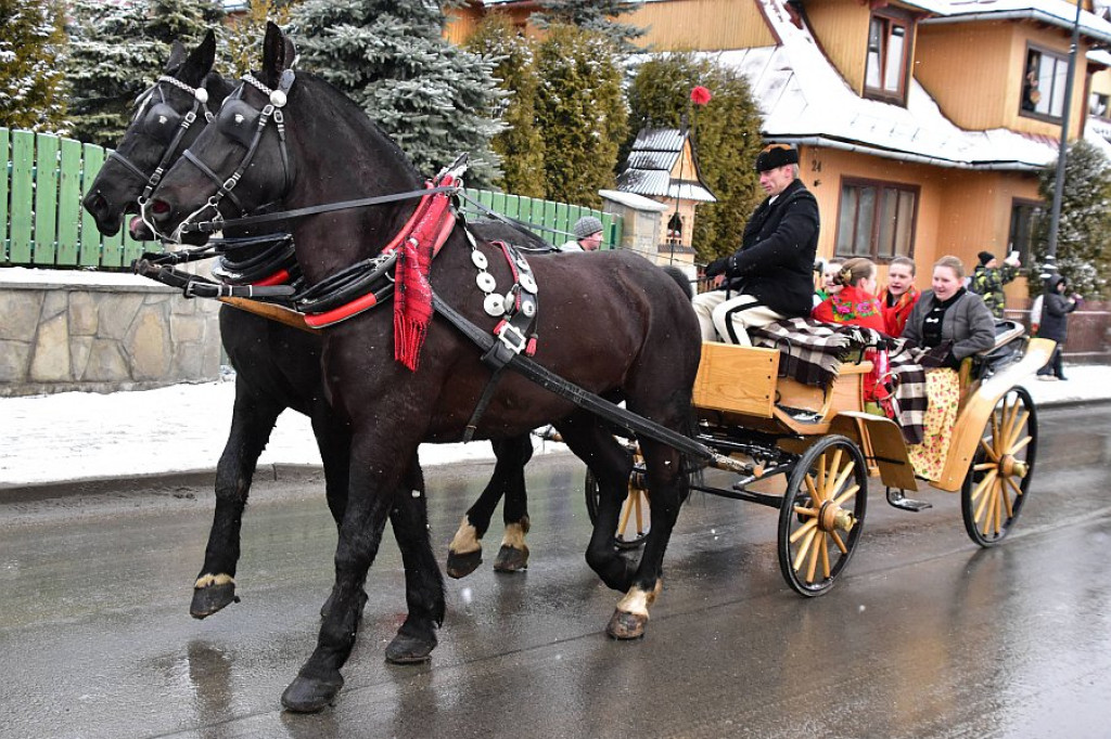 44. Karnawał Góralski w Bukowinie Tatrzańskiej