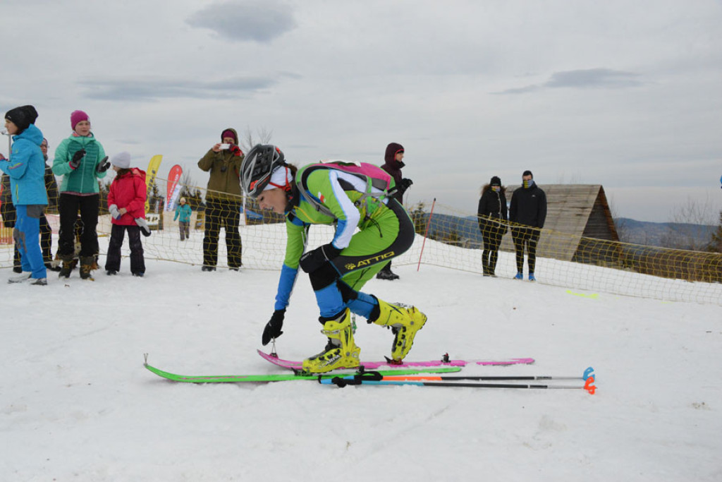 XI Polar Sport Skitour im. Basi German w Zawoi