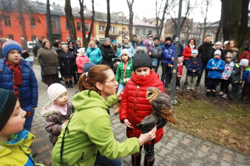 Noc sów w Nowym Targu