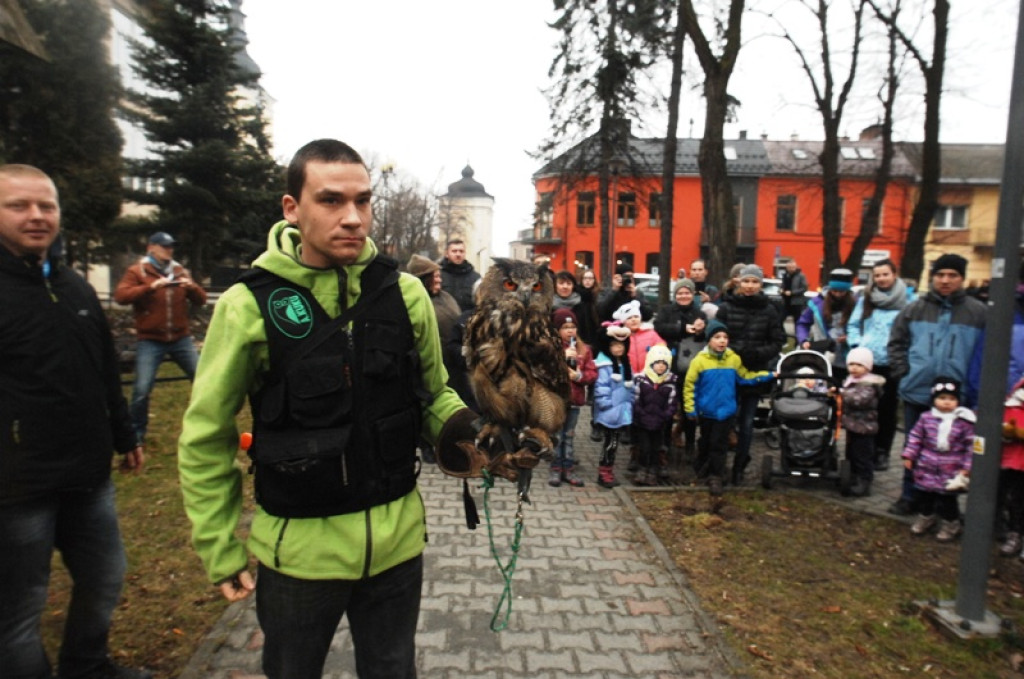 Noc sów w Nowym Targu