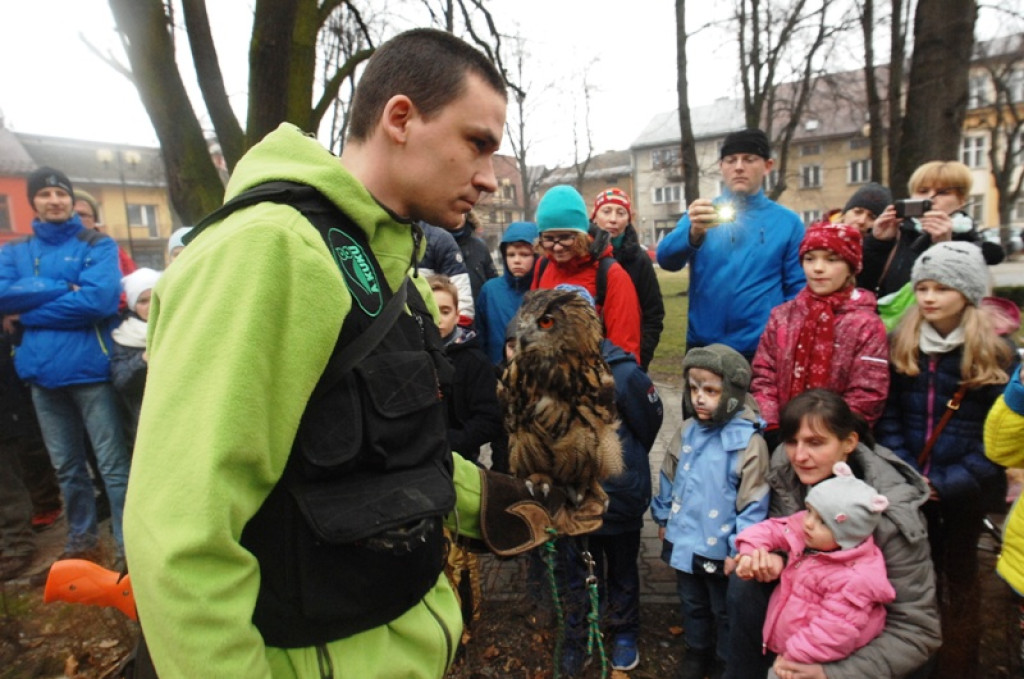 Noc sów w Nowym Targu
