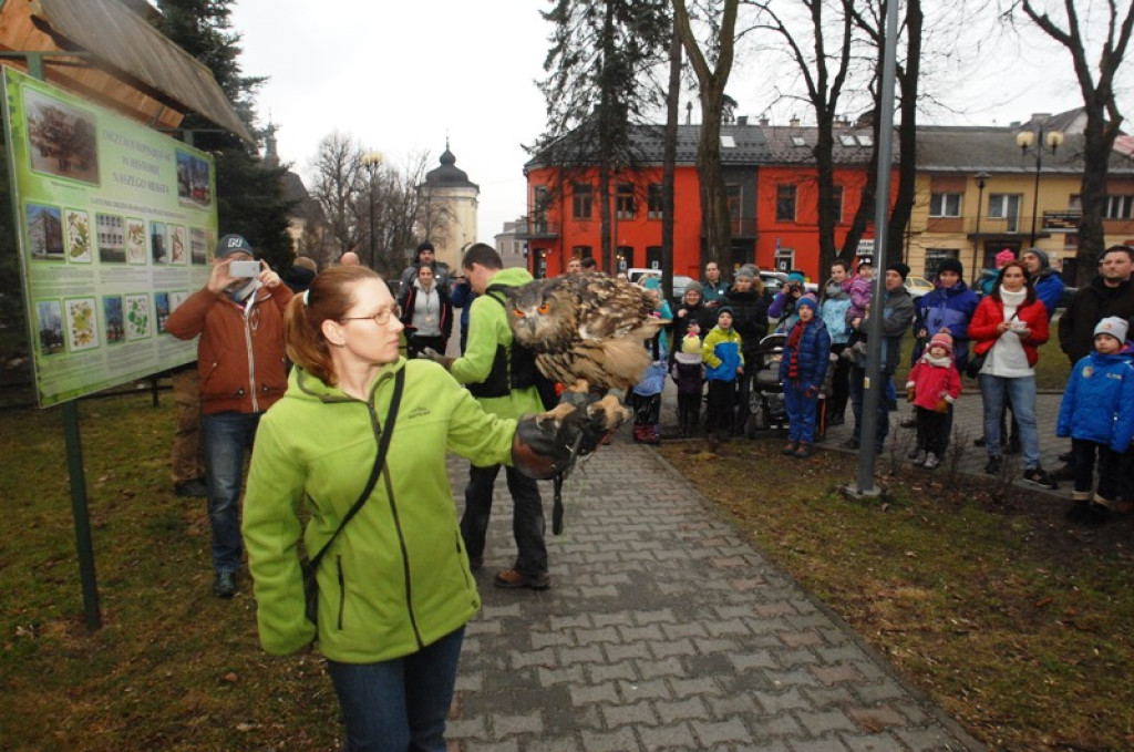 Noc sów w Nowym Targu