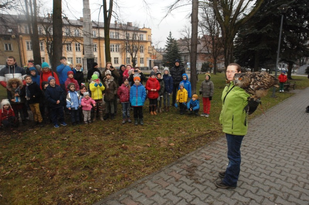 Noc sów w Nowym Targu