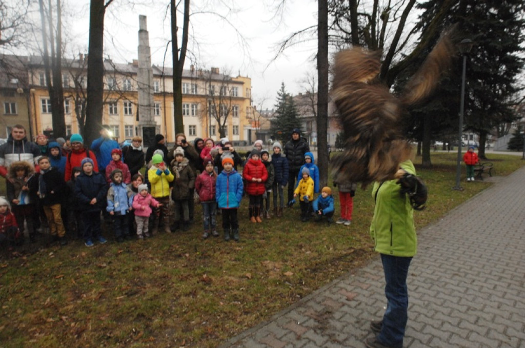 Noc sów w Nowym Targu