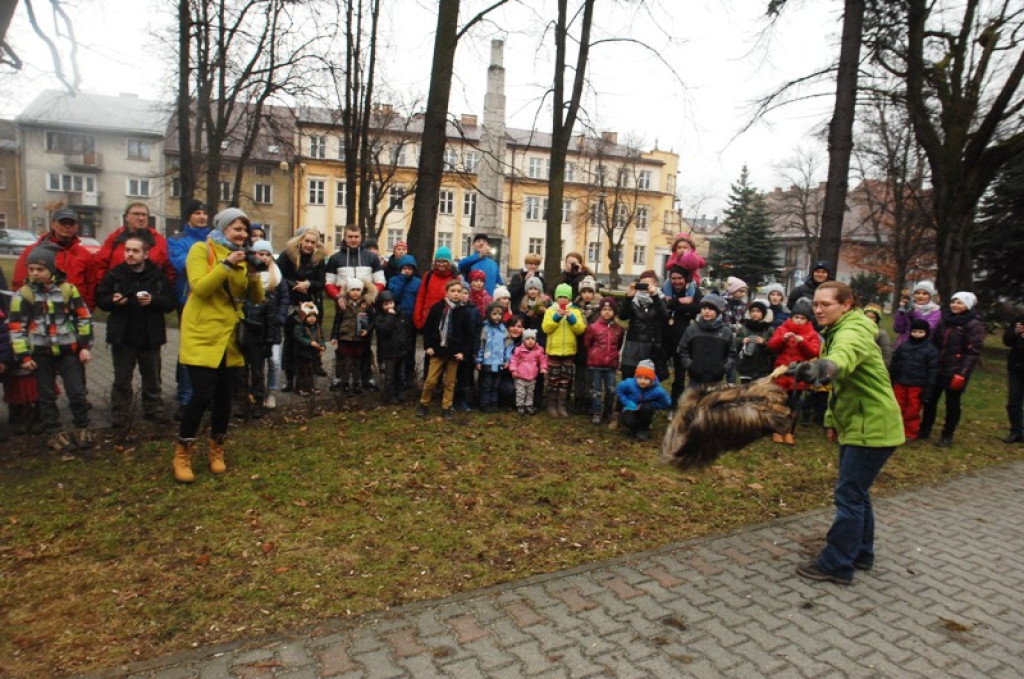 Noc sów w Nowym Targu