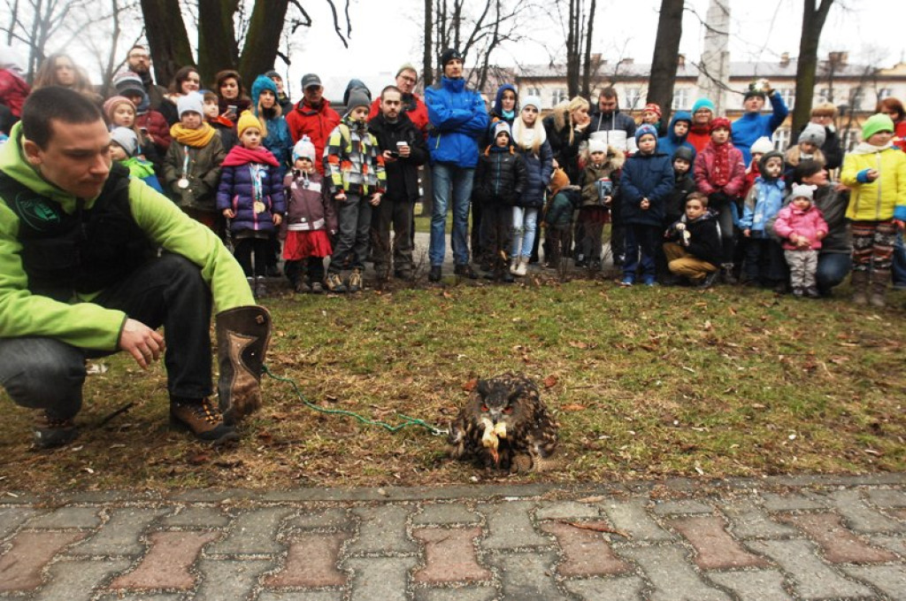 Noc sów w Nowym Targu