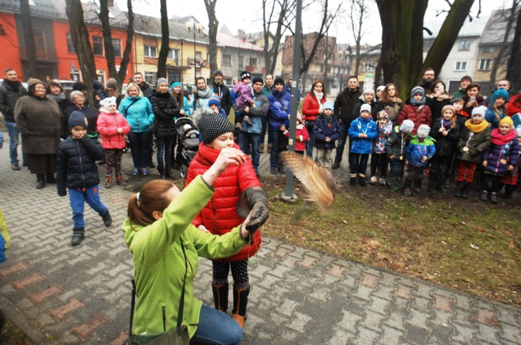 Noc sów w Nowym Targu