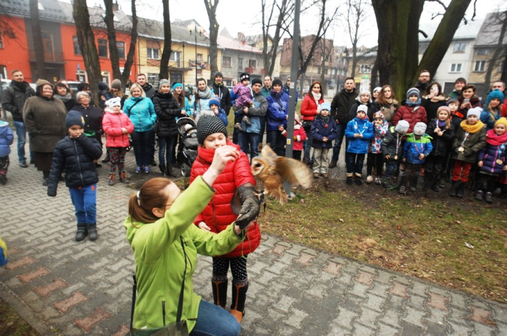Noc sów w Nowym Targu