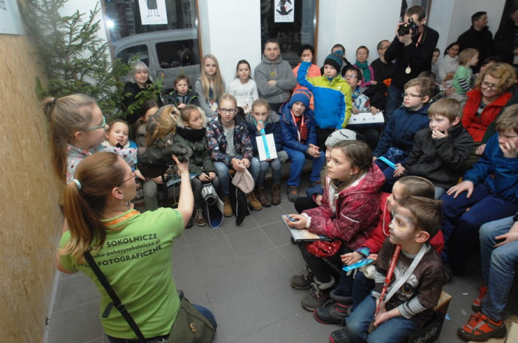 Noc sów w Nowym Targu