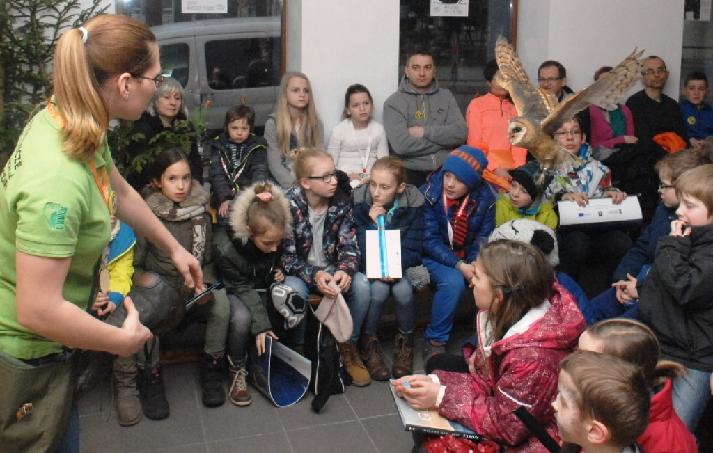 Noc sów w Nowym Targu
