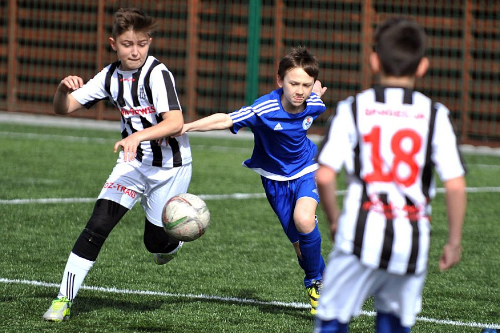 Api Cup 2016 rocznik 2005