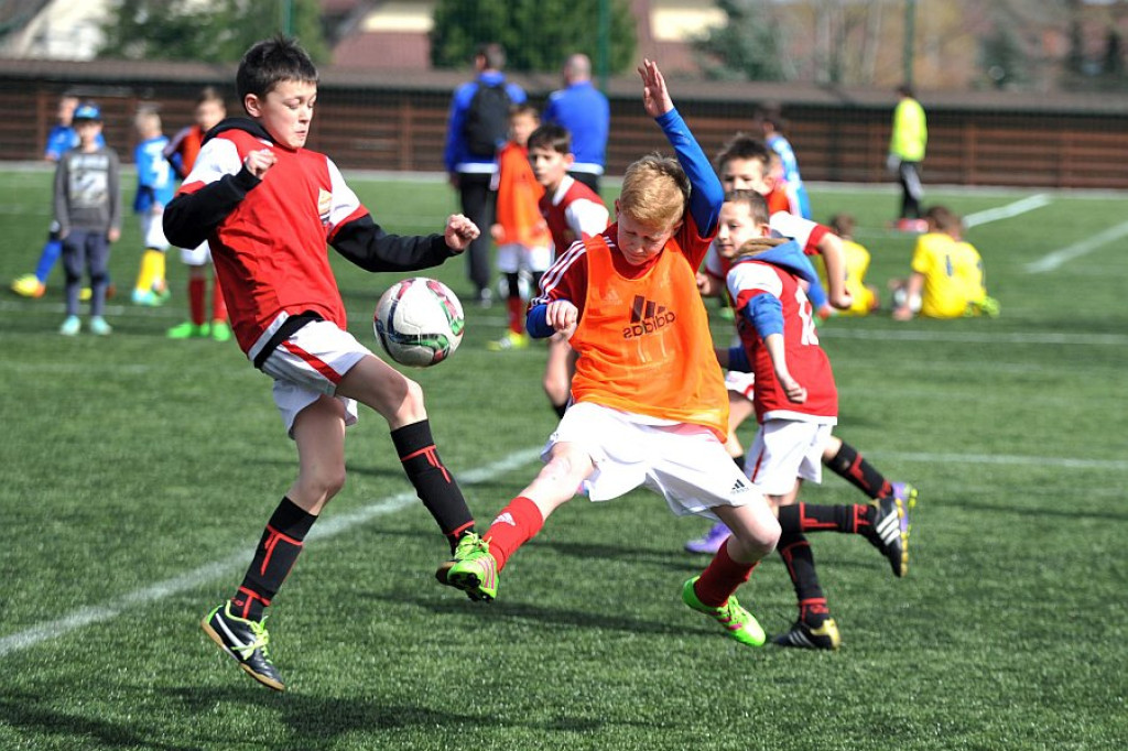 Api Cup 2016 rocznik 2005