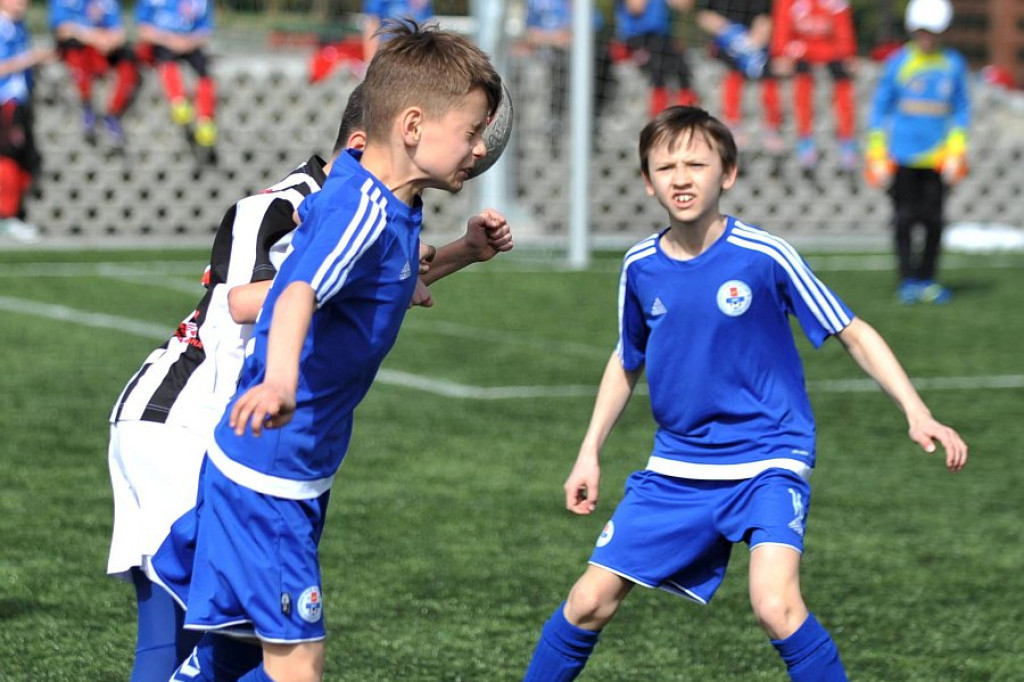 Api Cup 2016 rocznik 2005