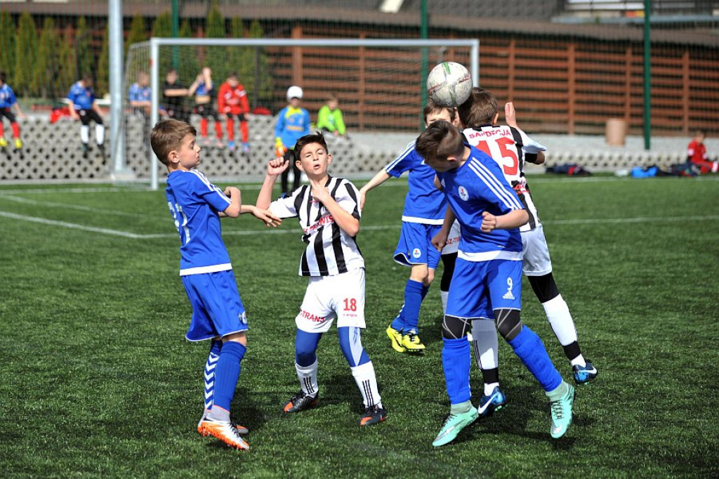 Api Cup 2016 rocznik 2005