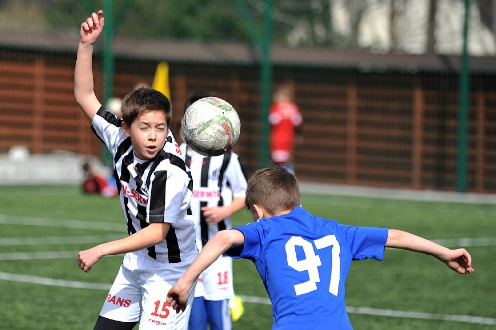 Api Cup 2016 rocznik 2005
