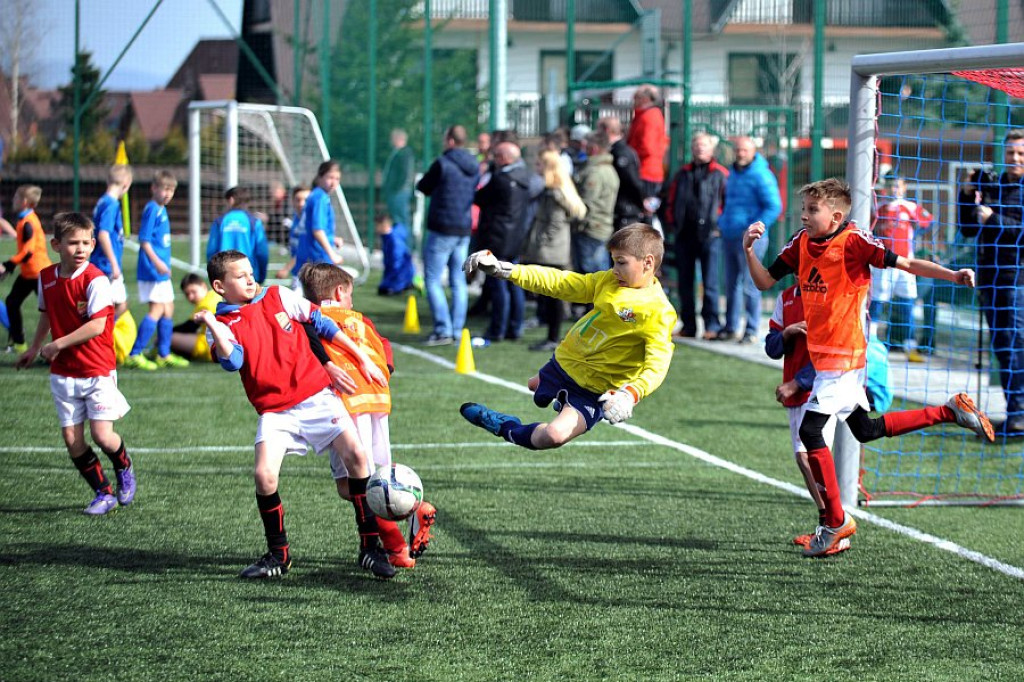 Api Cup 2016 rocznik 2005