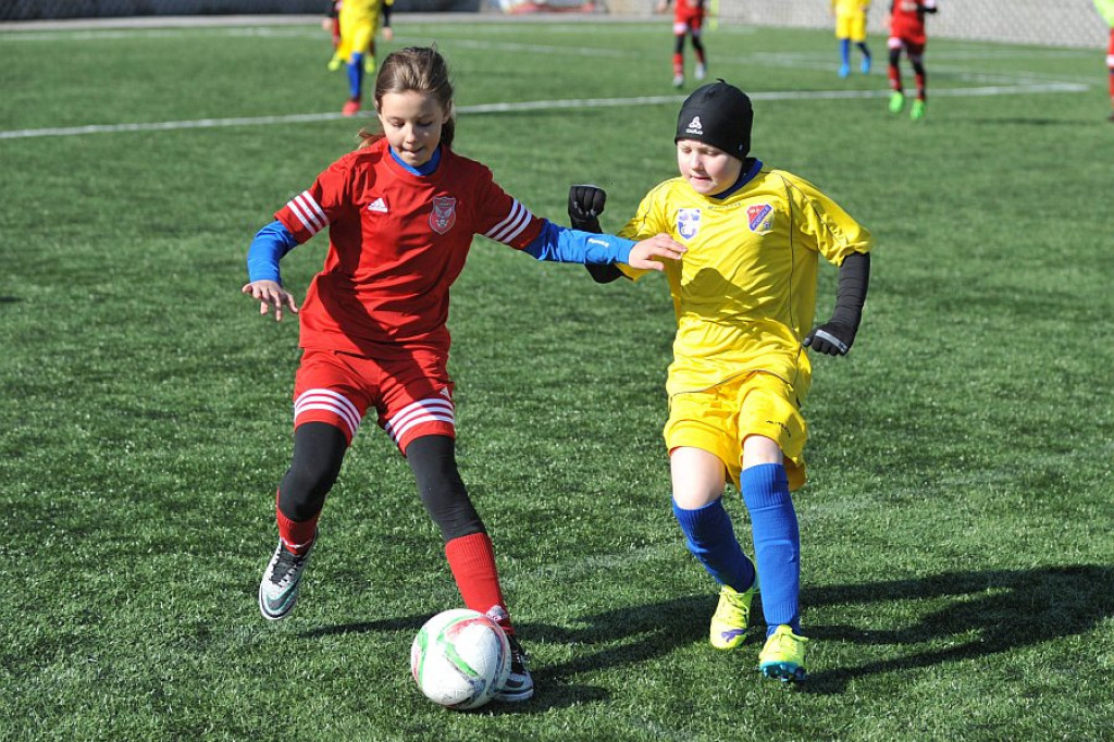 Api Cup 2016 rocznik 2005