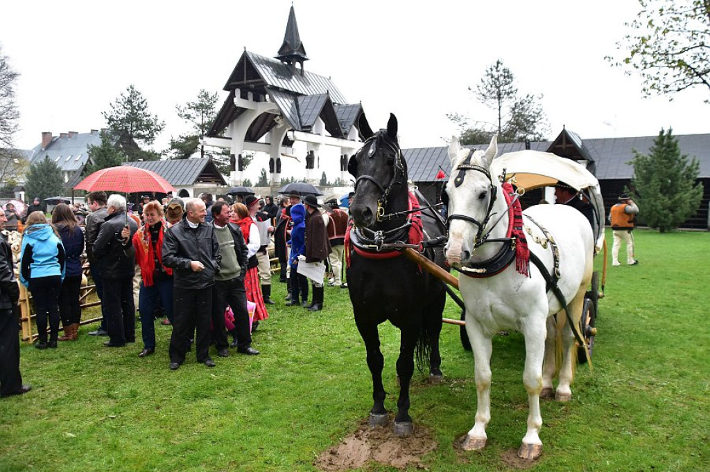 Msza bacowska w Ludźmierzu