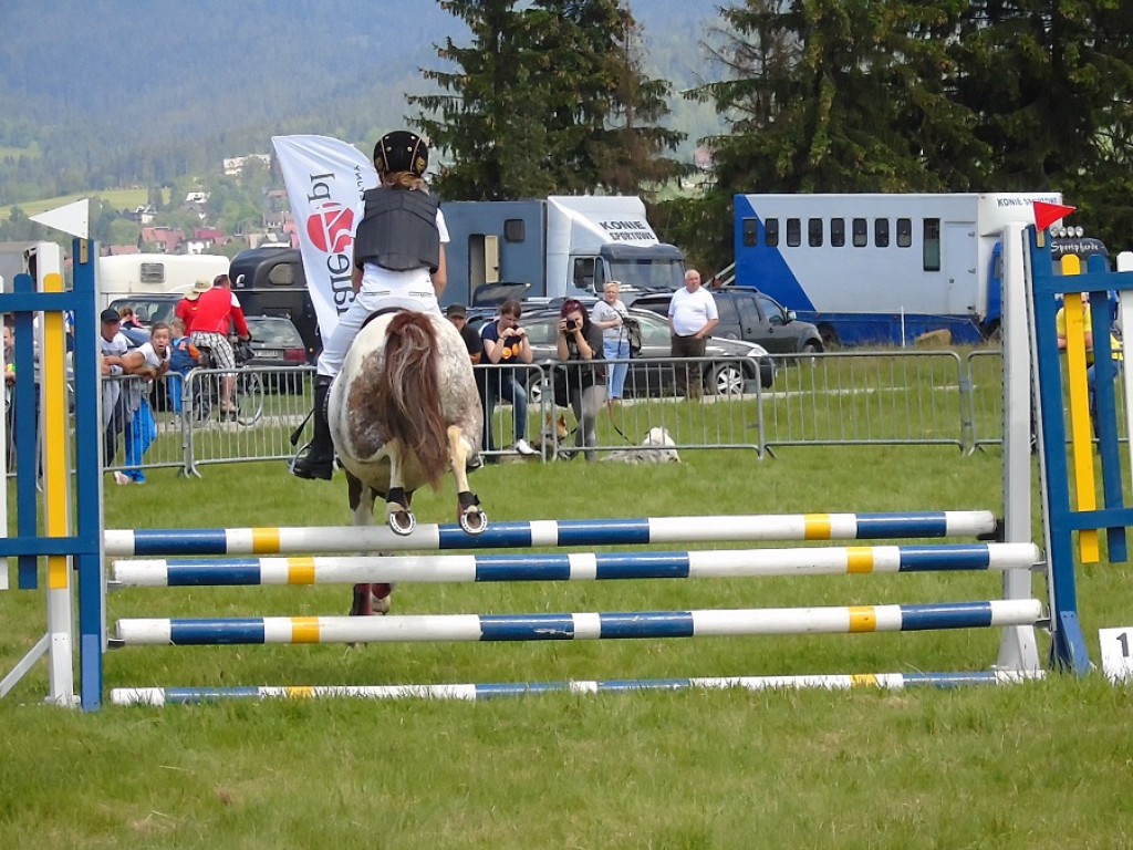 Piknik Jeździecki w Nowym Targu