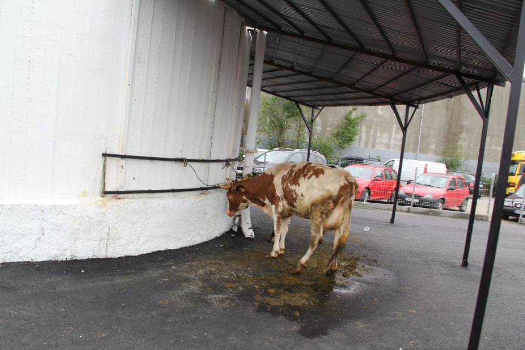 Targowisko przy Ludźmierskiej otwarte