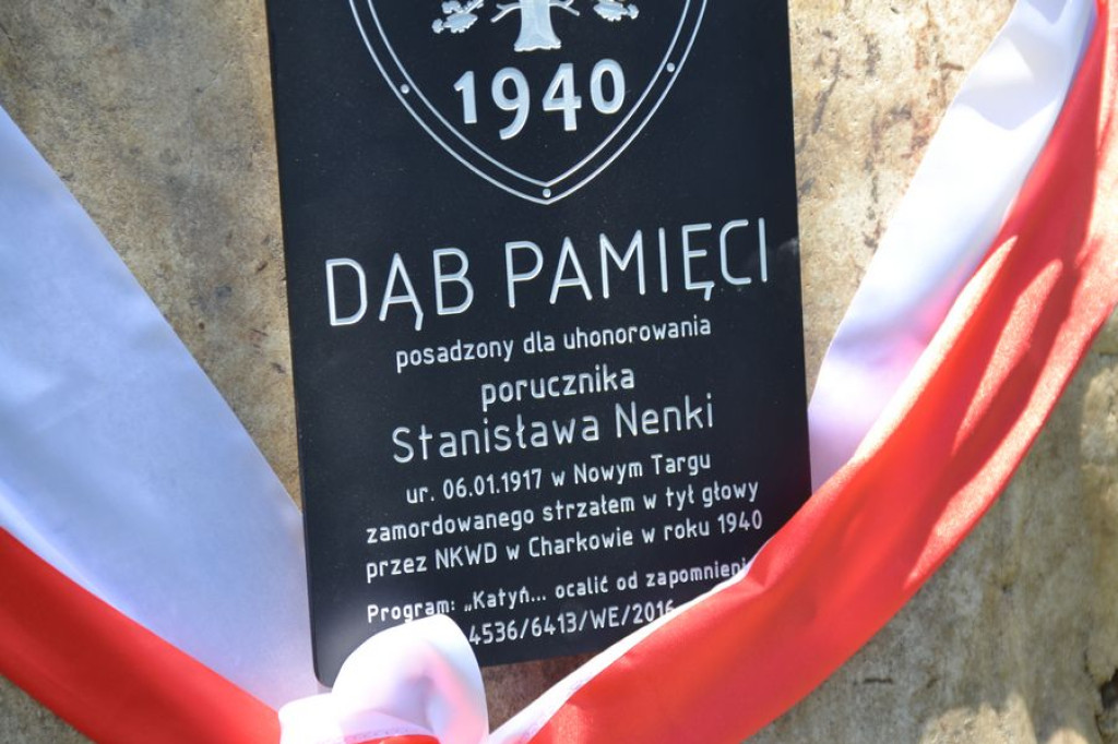 Dąb Pamięci w Rogoźniku
