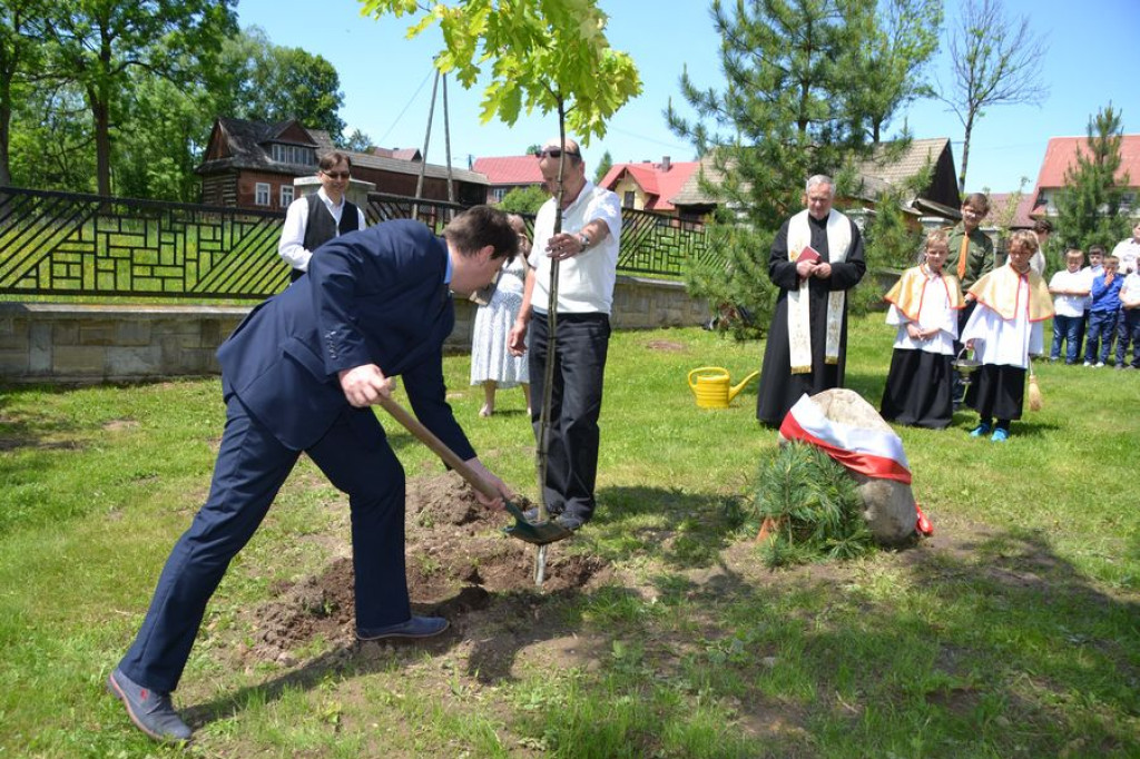 Dąb Pamięci w Rogoźniku