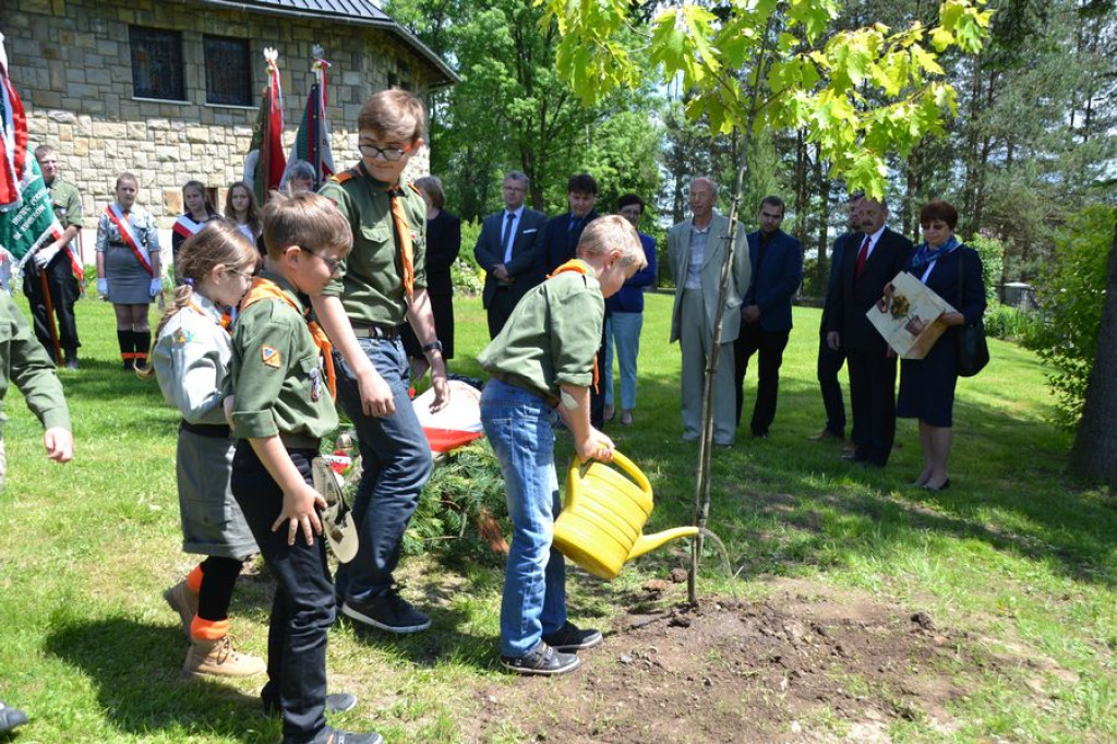Dąb Pamięci w Rogoźniku