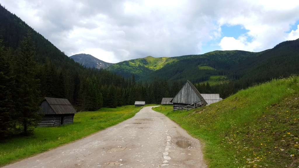Zielone zbocza na Trzydniowiańskim Wierchu
