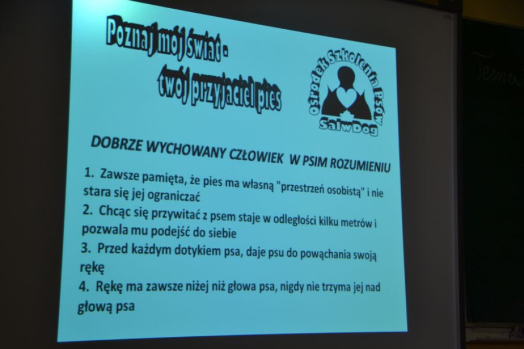 Szaflary: Twój przyjaciel pies
