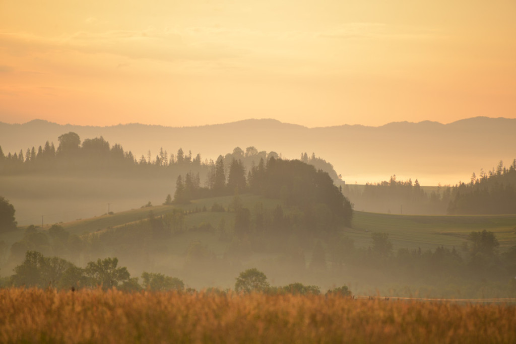 Poranek nad Rogoźnikiem