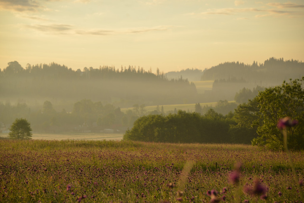 Poranek nad Rogoźnikiem