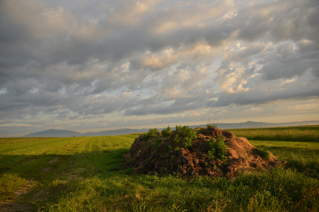 Poranek nad Rogoźnikiem