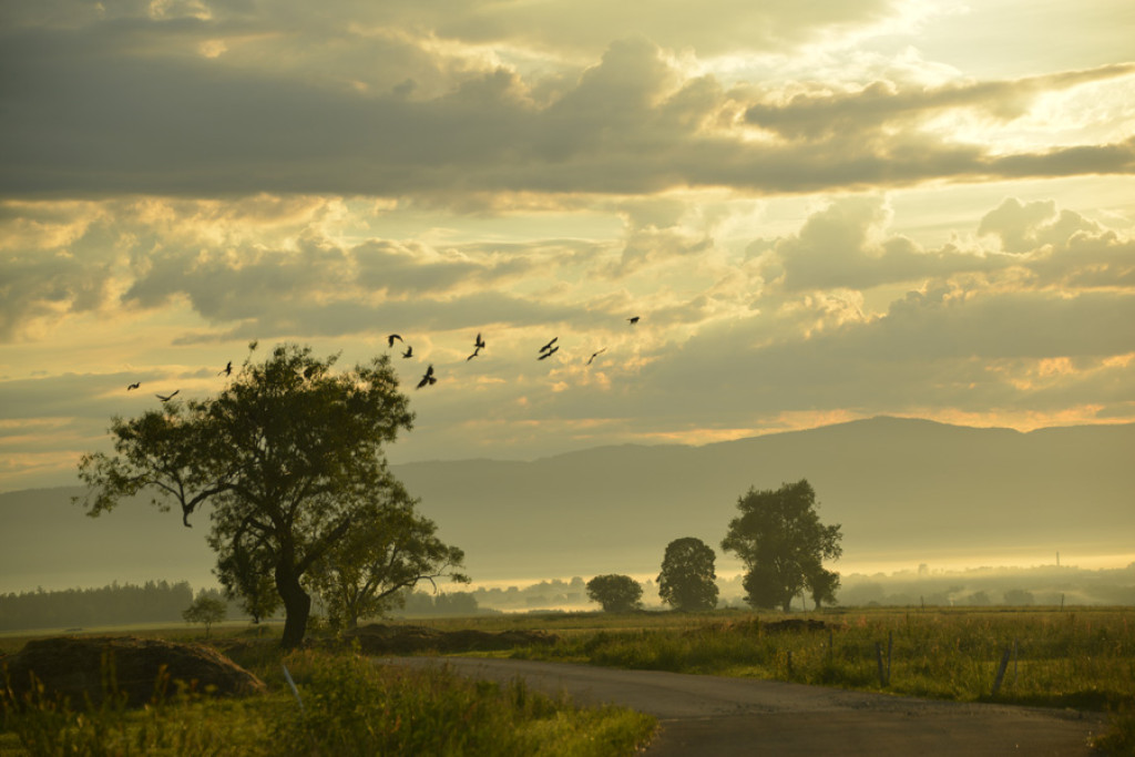 Poranek nad Rogoźnikiem