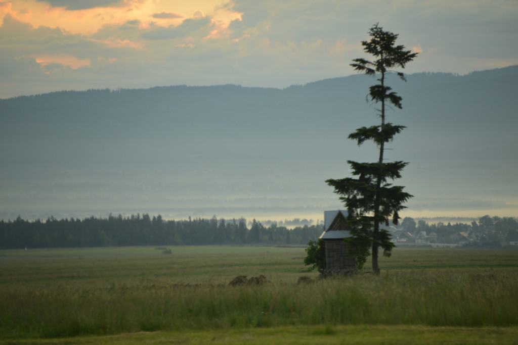 Poranek nad Rogoźnikiem