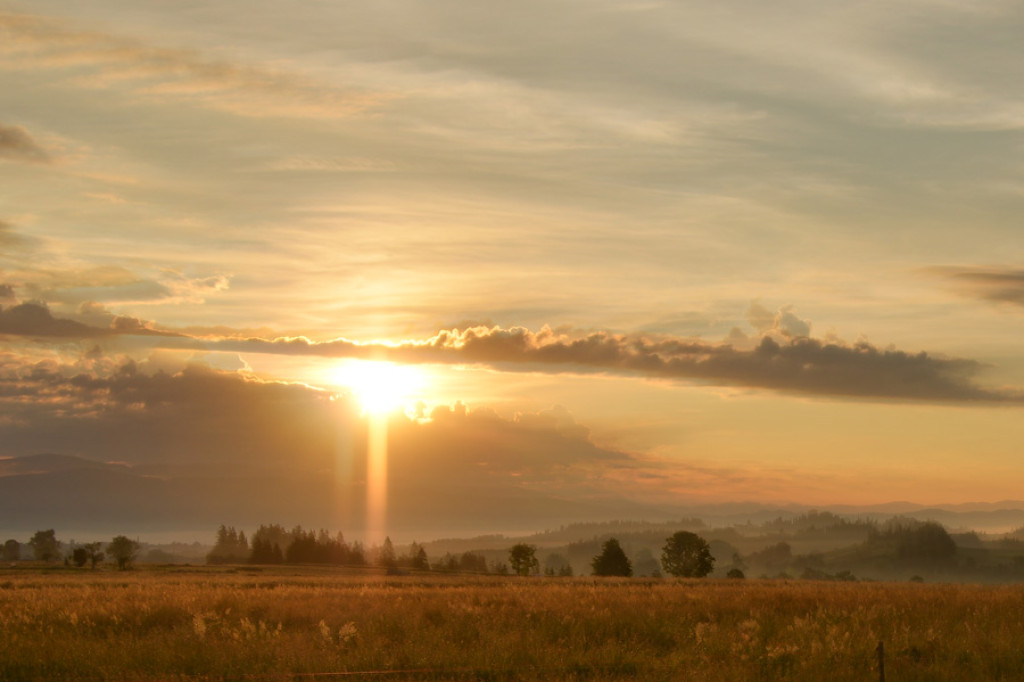 Poranek nad Rogoźnikiem