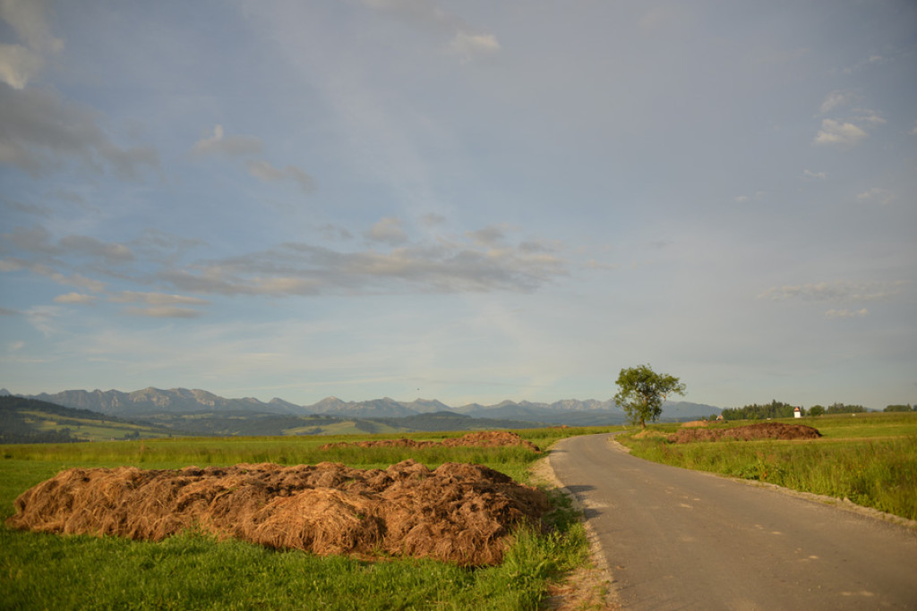 Poranek nad Rogoźnikiem