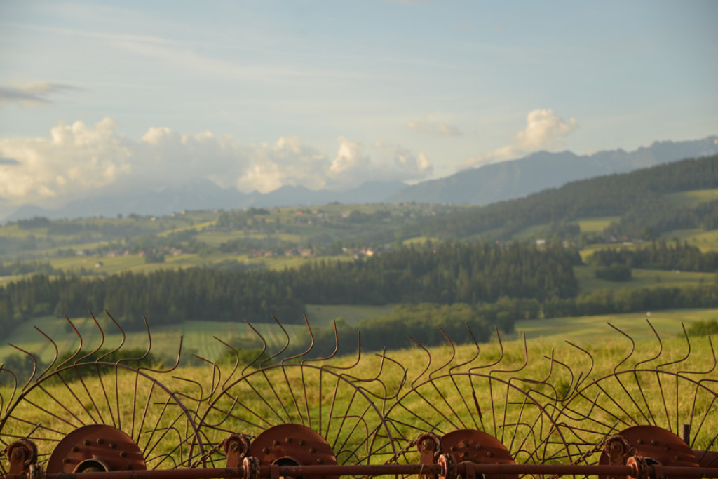 Poranek nad Rogoźnikiem