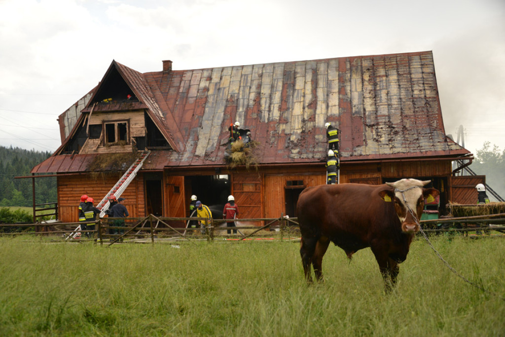 Pożar w Zębie