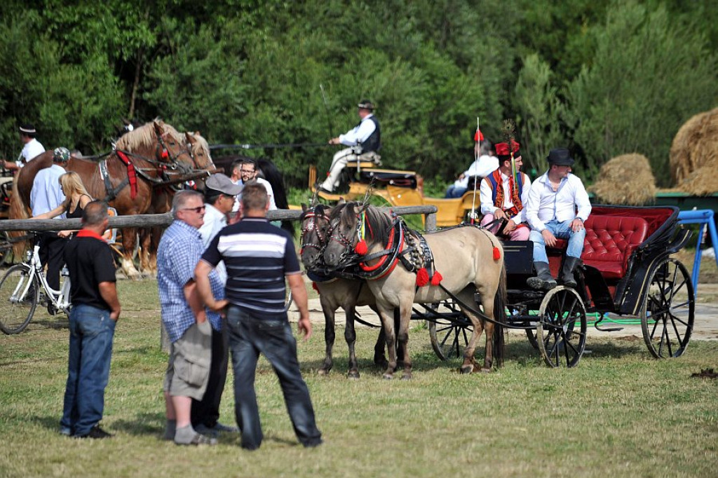 V Podhalańska Wystawa Zwierząt Hodowlanych