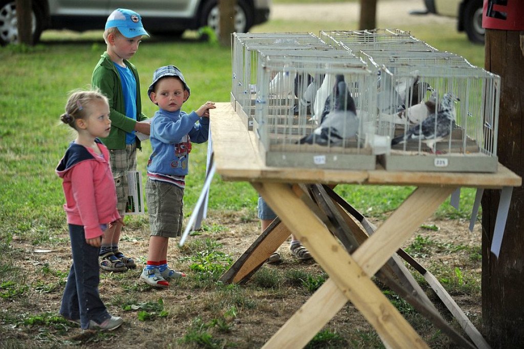 V Podhalańska Wystawa Zwierząt Hodowlanych