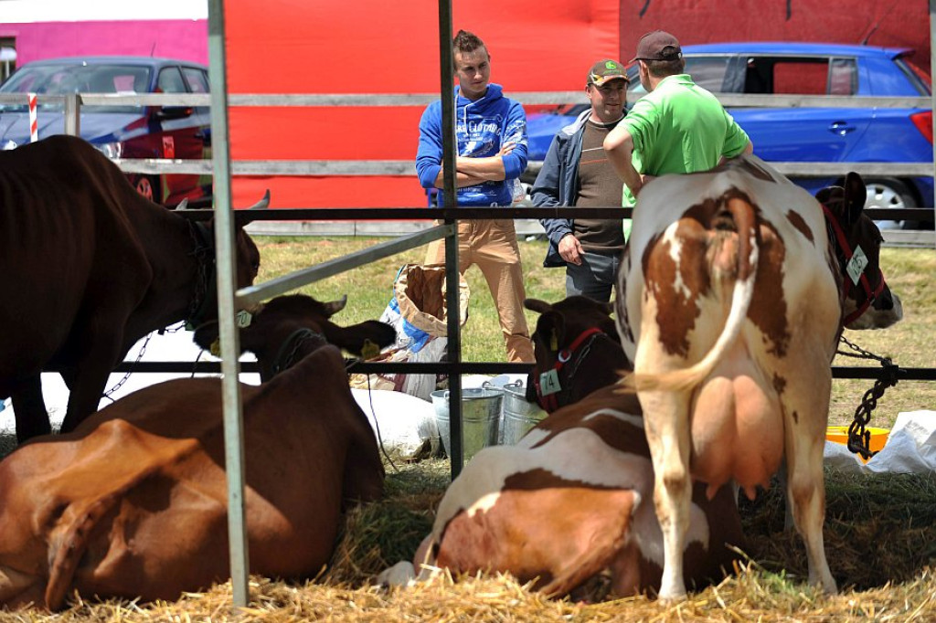 V Podhalańska Wystawa Zwierząt Hodowlanych