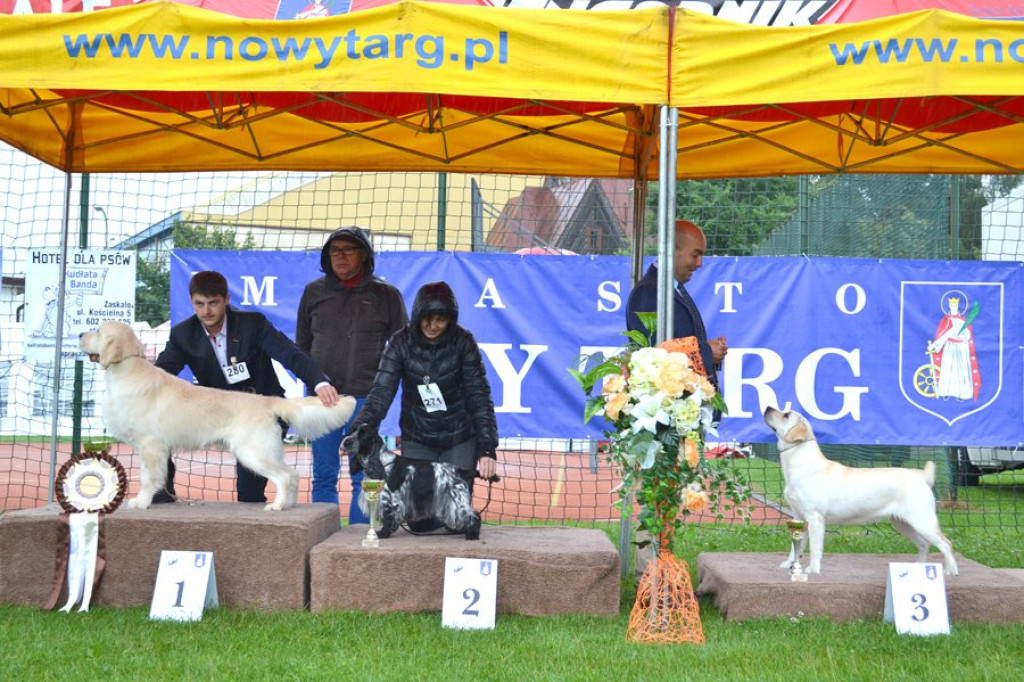 Pojętne i piękne