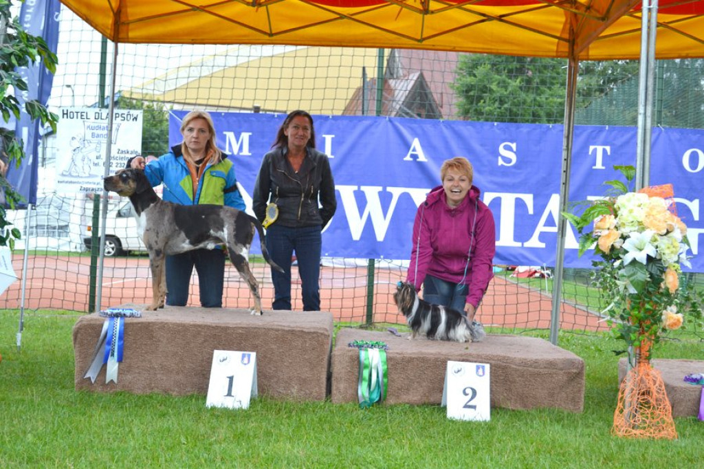 Pojętne i piękne
