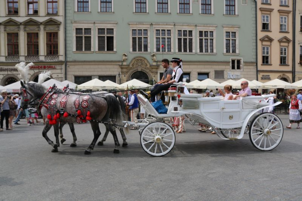 Powiat nowotarski na krakowskim rynku