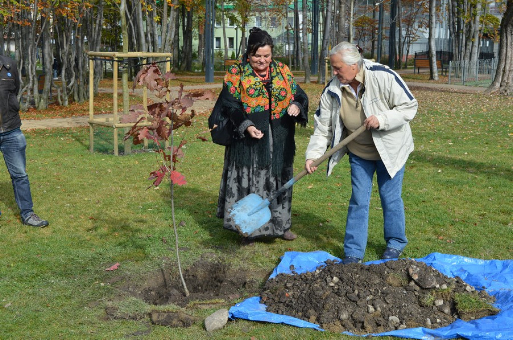 Zasadzili dęby pamięci